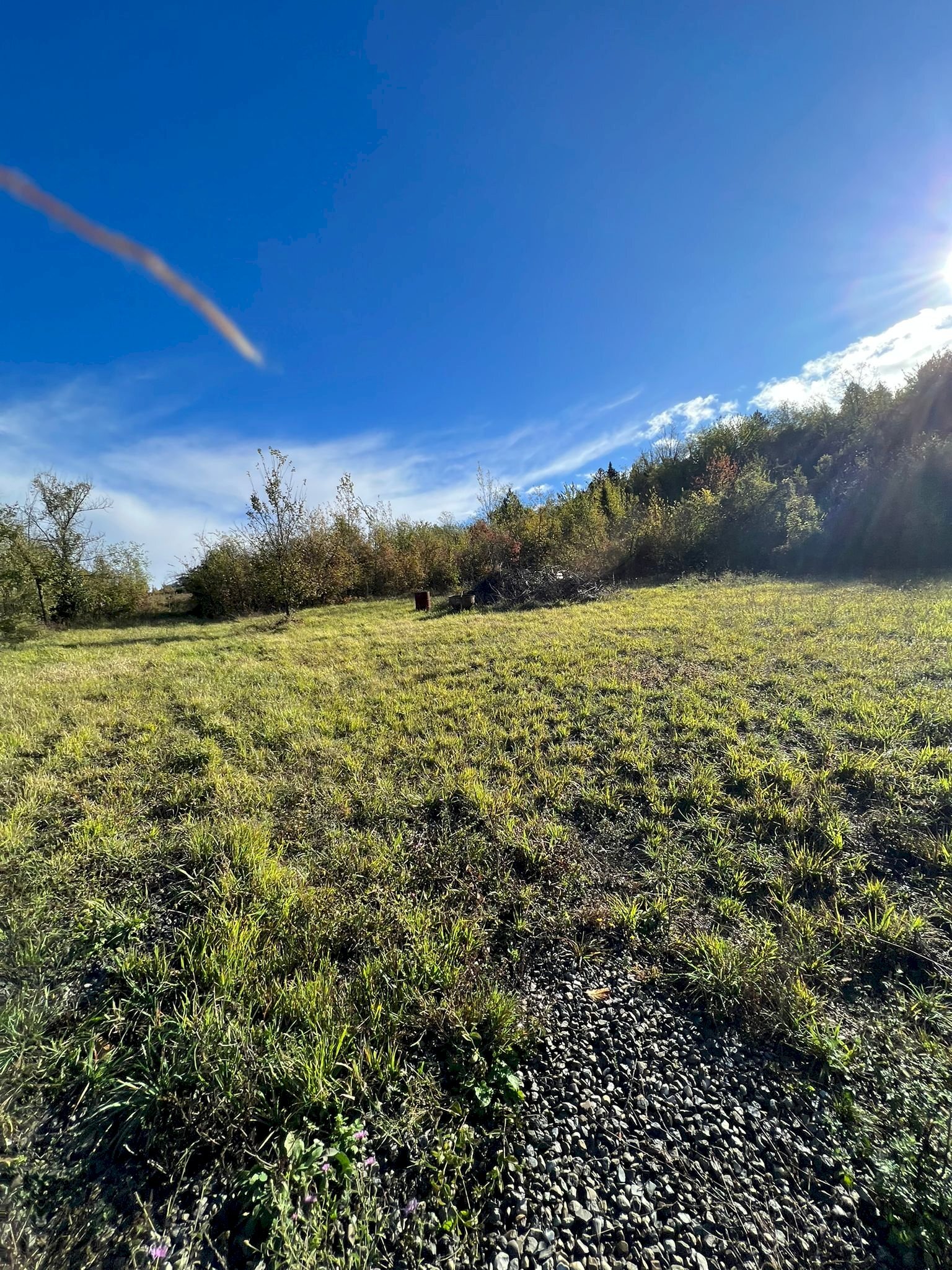 Terreno agricolo via Romagnoli, frazione Calderino, Monte San Pietro - foto 3