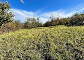 Terreno agricolo via Romagnoli, frazione Calderino, Monte San Pietro - foto 1