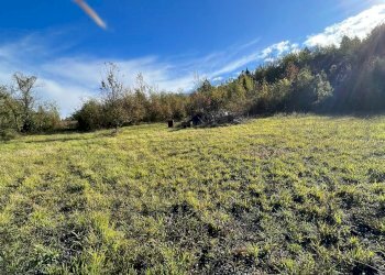 Terreno agricolo via Romagnoli, frazione Calderino, Monte San Pietro - foto 3
