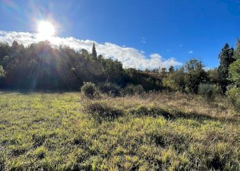 Terreno agricolo via Romagnoli, frazione Calderino, Monte San Pietro - foto 5