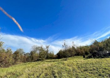 Terreno agricolo via Romagnoli, frazione Calderino, Monte San Pietro - foto 6