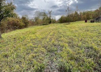 Terreno agricolo via Romagnoli, frazione Calderino, Monte San Pietro - foto 7