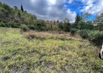 Terreno agricolo via Romagnoli, frazione Calderino, Monte San Pietro - foto 8