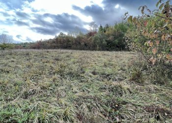 Terreno agricolo via Romagnoli, frazione Calderino, Monte San Pietro - foto 9