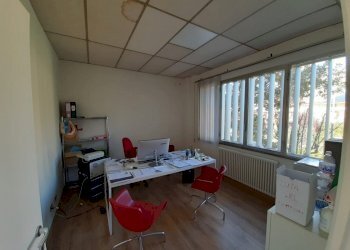 Capannone Reggio nell'Emilia - foto 4