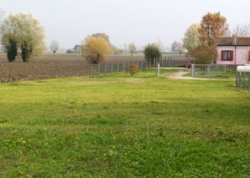 lotto pezzoli.jpg - Terreno edificabile Ceregnano - foto 1