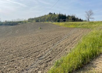 Terreno edificabile Pianoro - foto 9