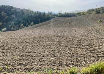 Terreno edificabile Pianoro - foto 13