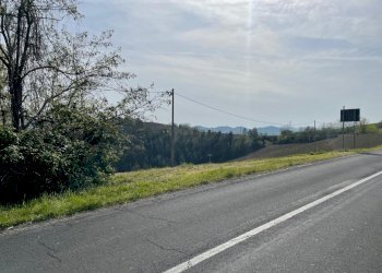 Terreno edificabile Pianoro - foto 14