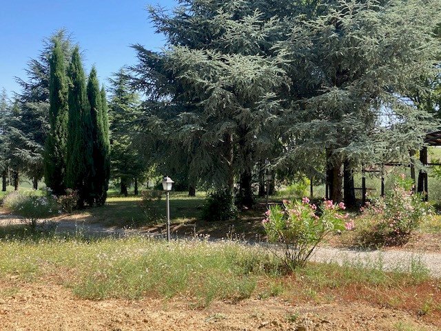 Villa Bifamiliare Castel San Pietro Terme - foto 3