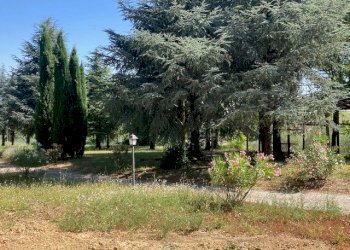 Semi-detached Villa Castel San Pietro Terme - photo 3