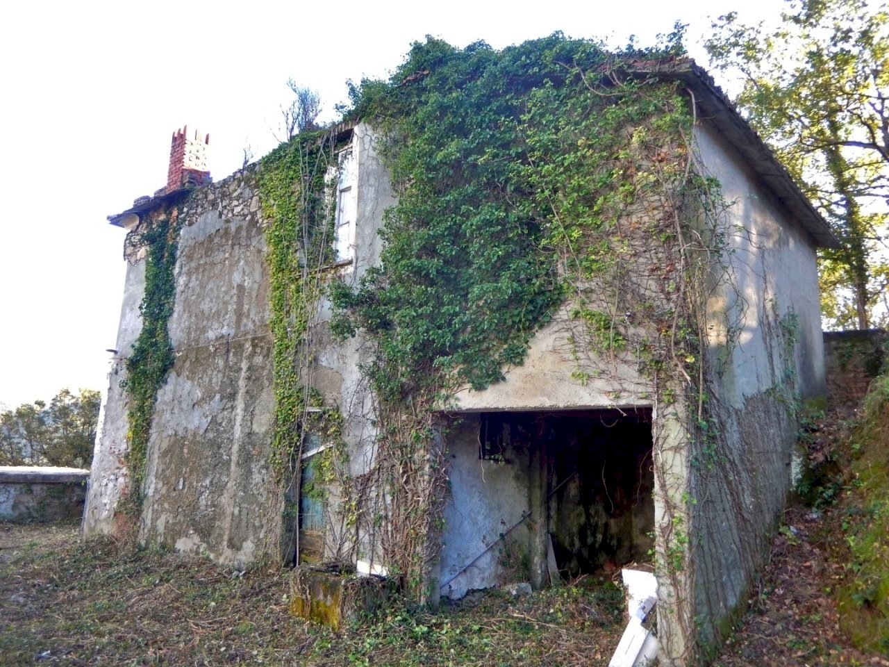 DSCN9027.JPG - Villa Via Olivella Caminata 17, Casarza Ligure - foto 2