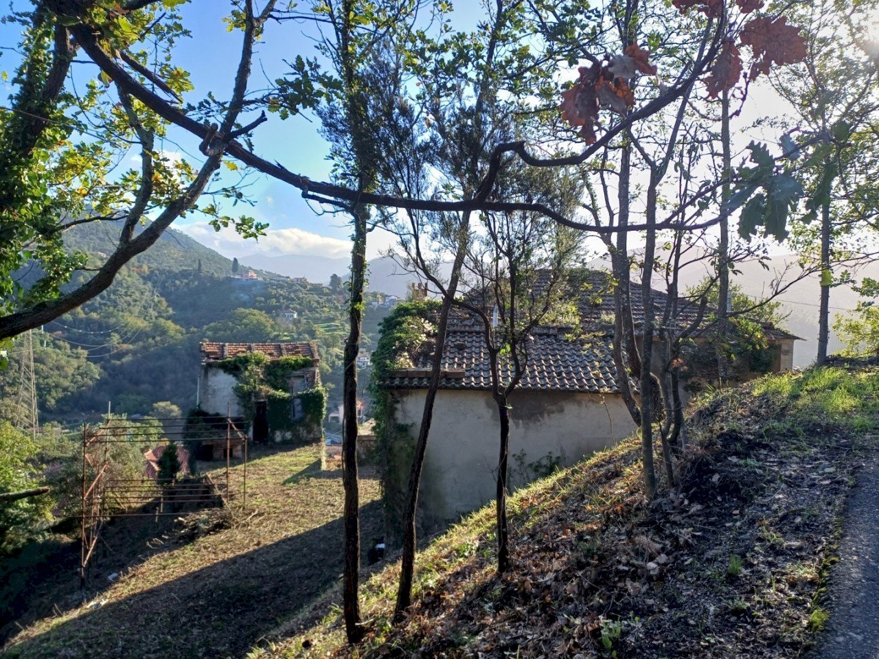 20231113_094600.jpg - Villa Via Olivella Caminata 17, Casarza Ligure - foto 3