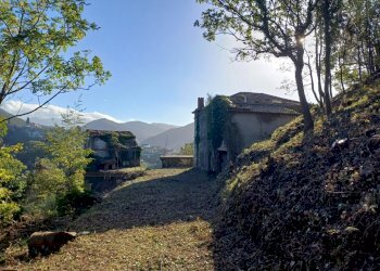 20231113_094706.jpg - Villa Via Olivella Caminata 17, Casarza Ligure - foto 1