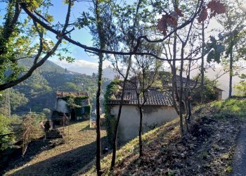 20231113_094600.jpg - Villa Via Olivella Caminata 17, Casarza Ligure - foto 3