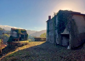 20231113_094751.jpg - Villa Via Olivella Caminata 17, Casarza Ligure - foto 4