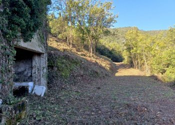 20231113_094917.jpg - Villa Via Olivella Caminata 17, Casarza Ligure - foto 5