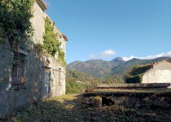 20231113_095253_001.jpg - Villa Via Olivella Caminata 17, Casarza Ligure - foto 8