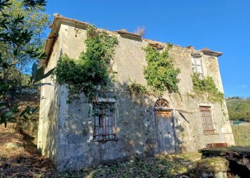 20231113_095335.jpg - Villa Via Olivella Caminata 17, Casarza Ligure - foto 9