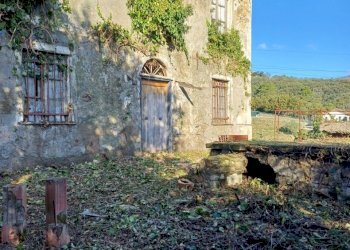 20231113_095440.jpg - Villa Via Olivella Caminata 17, Casarza Ligure - foto 10