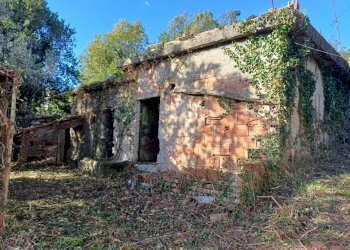 20231113_095643.jpg - Villa Via Olivella Caminata 17, Casarza Ligure - foto 12