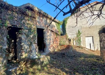 20231113_095804.jpg - Villa Via Olivella Caminata 17, Casarza Ligure - foto 13