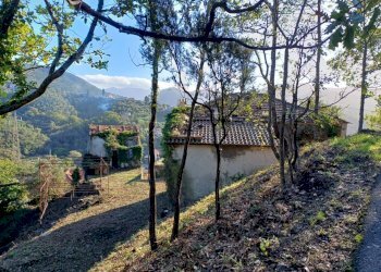 20231113_100216.jpg - Villa Via Olivella Caminata 17, Casarza Ligure - foto 15