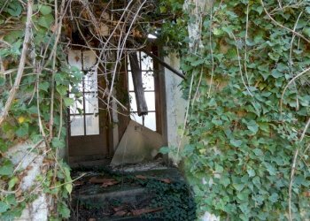 P1010673.JPG - Villa Via Olivella Caminata 17, Casarza Ligure - foto 16