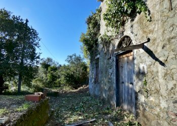 P1010674.JPG - Villa Via Olivella Caminata 17, Casarza Ligure - foto 17