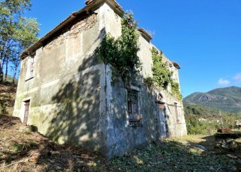 P1010675.JPG - Villa Via Olivella Caminata 17, Casarza Ligure - foto 18