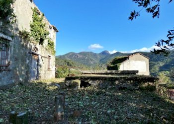 P1010676.JPG - Villa Via Olivella Caminata 17, Casarza Ligure - foto 19