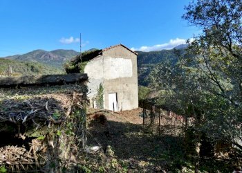 P1010678.JPG - Villa Via Olivella Caminata 17, Casarza Ligure - foto 20