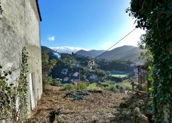 P1010685.JPG - Villa Via Olivella Caminata 17, Casarza Ligure - foto 21