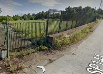 Terreno edificabile SP 144, Triggiano - foto 1