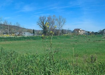 Agriturismo via Gentile da Fabriano, Campofilone - foto 5