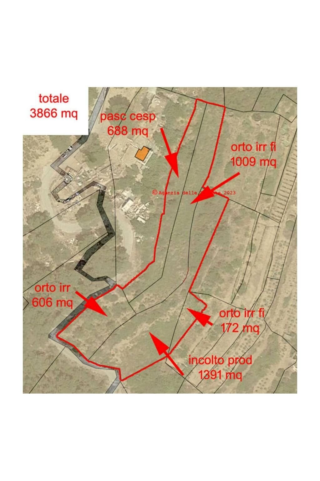 Terreno agricolo SP55, 307, Sanremo - planimetria 1