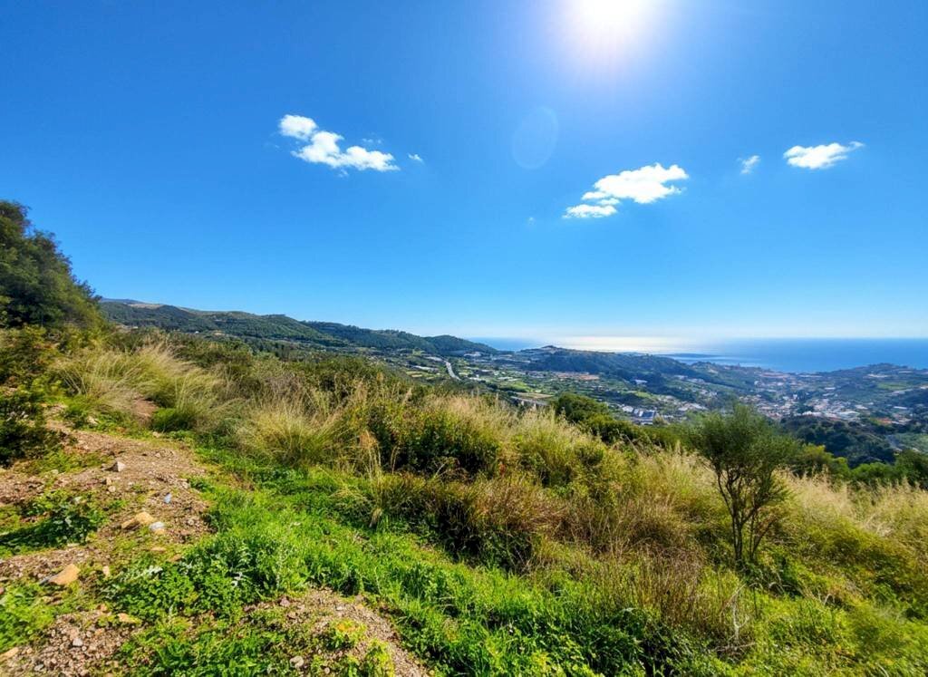 Terreno - Terreno agricolo SP55, 307, Sanremo - foto 2