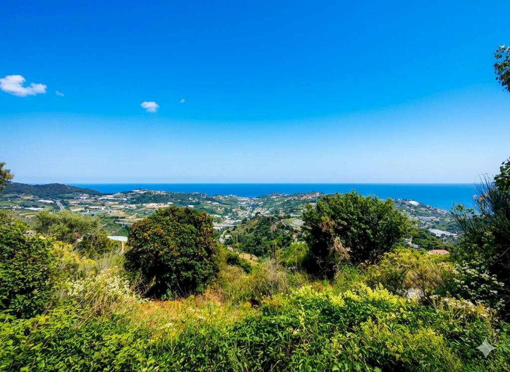 Terreno - Terreno agricolo SP55, 307, Sanremo - foto 3