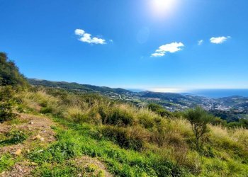 Terreno - Terreno agricolo SP55, 307, Sanremo - foto 2