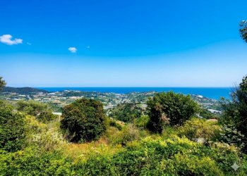 Terreno - Terreno agricolo SP55, 307, Sanremo - foto 3