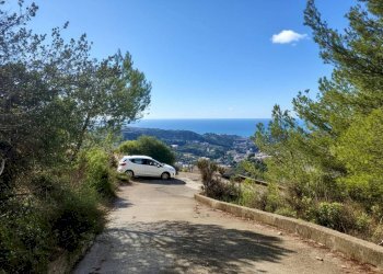 Terreno - Terreno agricolo SP55, 307, Sanremo - foto 5