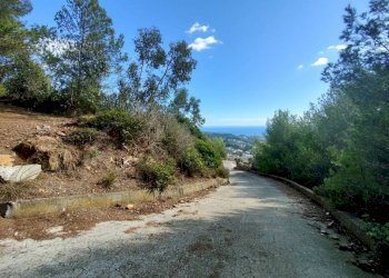 Terreno - Terreno agricolo SP55, 307, Sanremo - foto 6