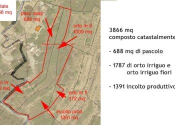 Mappa - Terreno agricolo SP55, 307, Sanremo - foto 10
