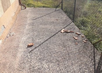 dettagli - Appartamento Via delle Scuole 27, Scheggia e Pascelupo - foto 9