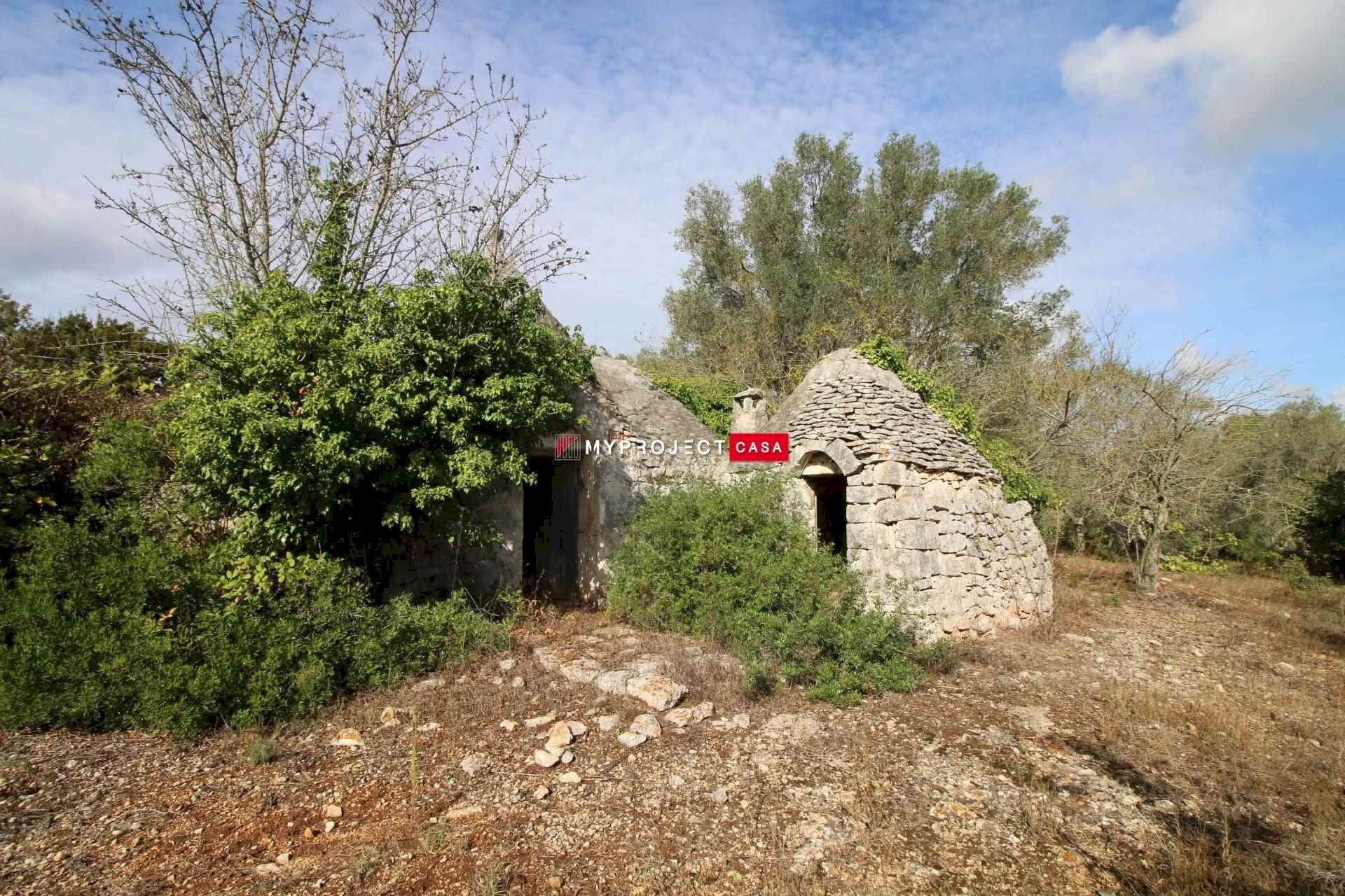Trullo Pozzo Salerno, Martina Franca - photo 1