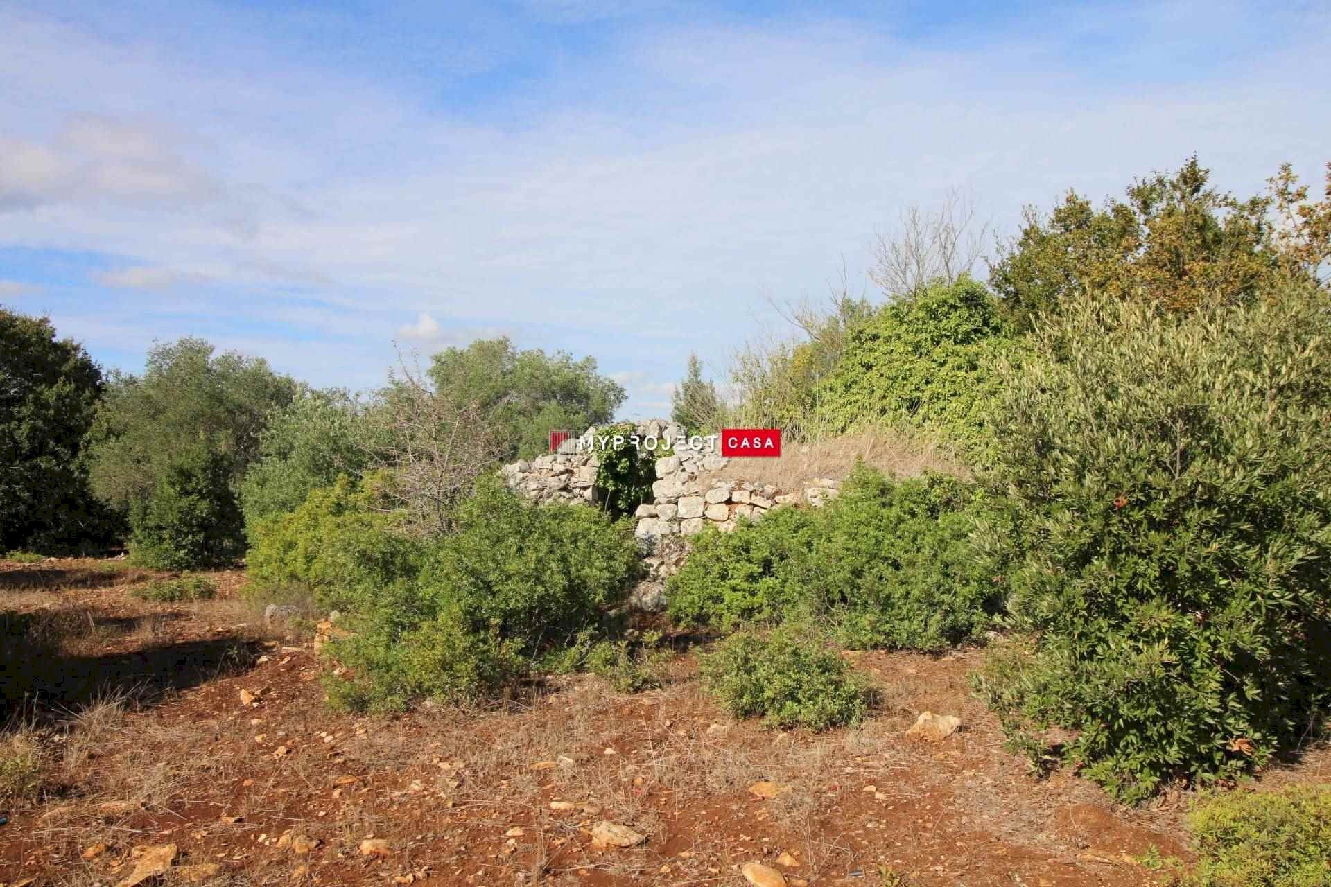 Trullo Pozzo Salerno, Martina Franca - photo 3