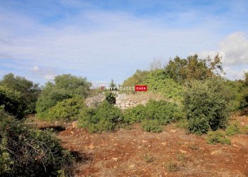 Trullo Pozzo Salerno, Martina Franca - foto 2