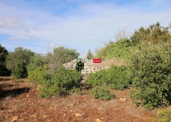 Trullo Pozzo Salerno, Martina Franca - foto 3