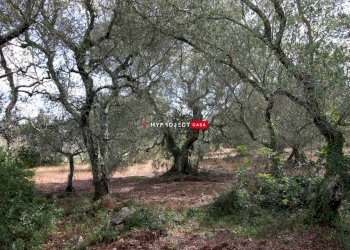 Trullo Pozzo Salerno, Martina Franca - foto 10