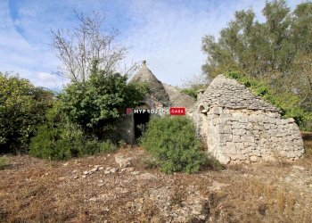 Trullo Pozzo Salerno, Martina Franca - foto 11